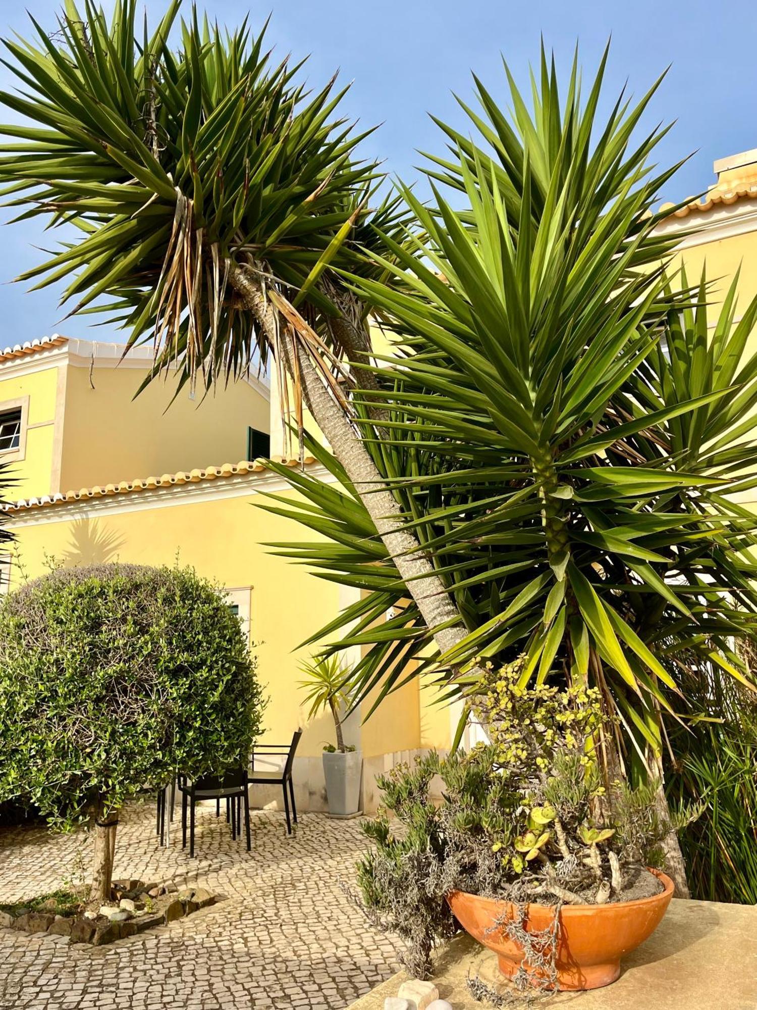 Pita'S House - Villa Sagres 2 Extérieur photo